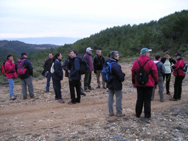 p1010009.jpg