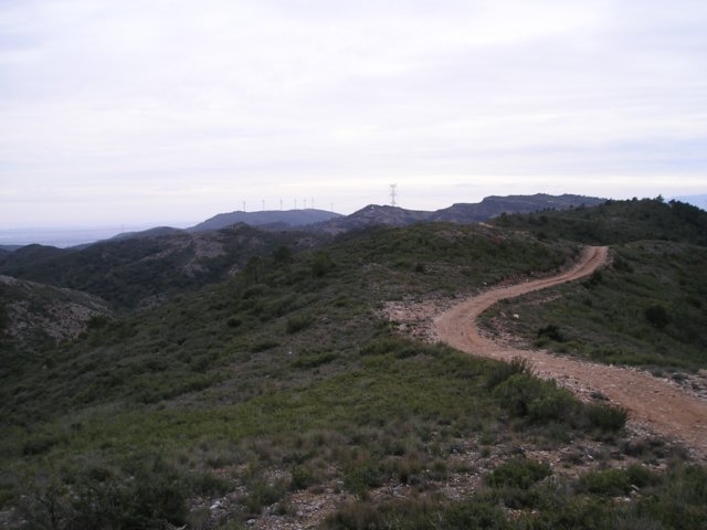 p1010014.jpg