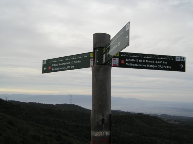 p1010017.jpg