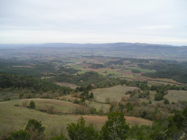 p1010028.jpg