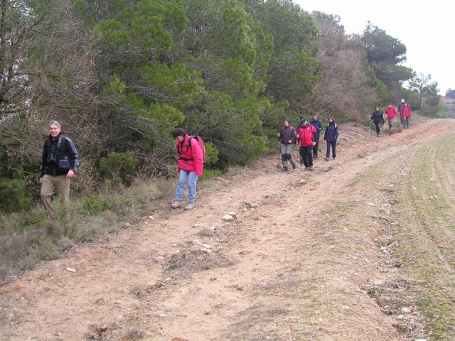p1010035.jpg