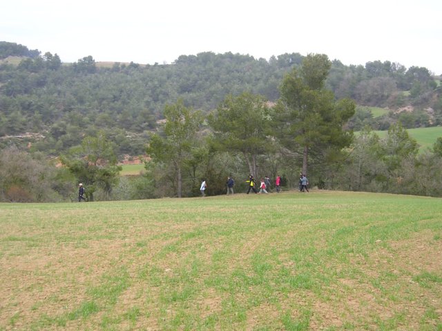 p1010036.jpg
