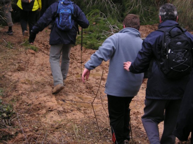p1010041.jpg