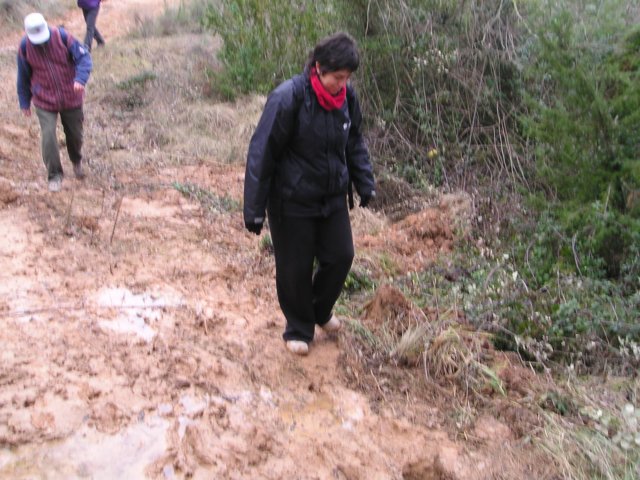 p1010044.jpg