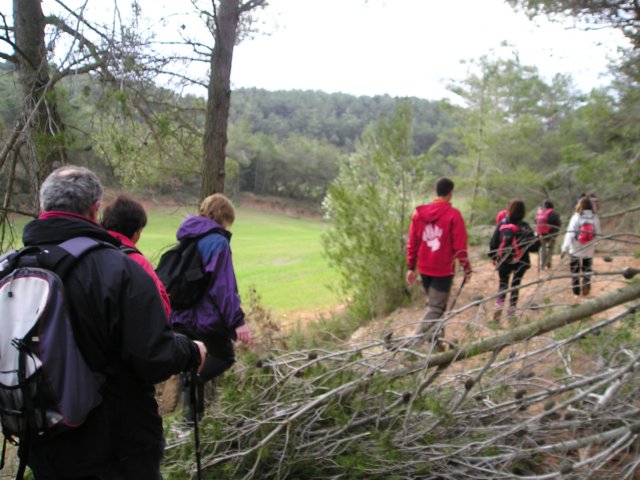 p1010056.jpg