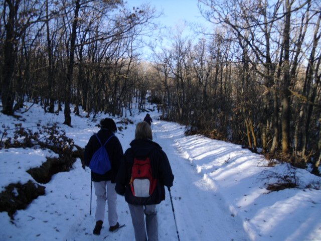 cimg0134.jpg