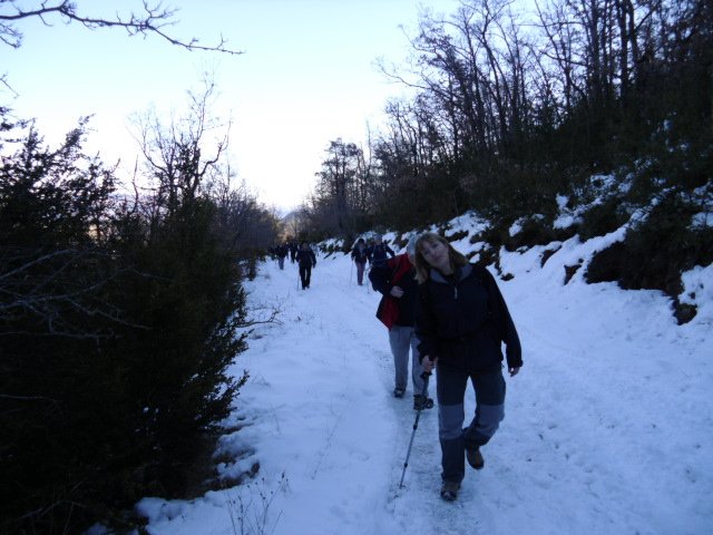 cimg0136.jpg