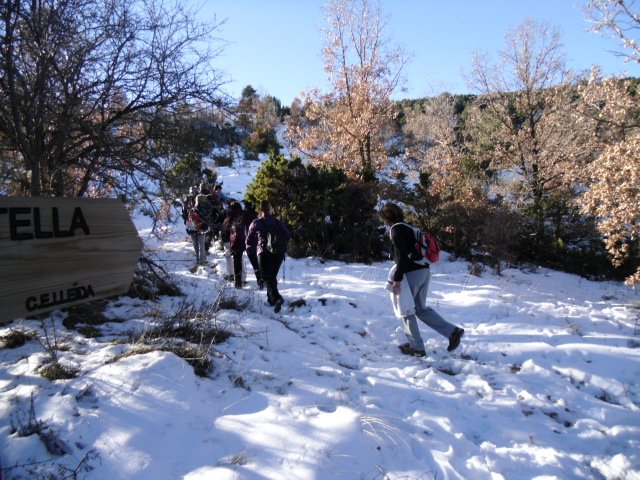 cimg0139.jpg