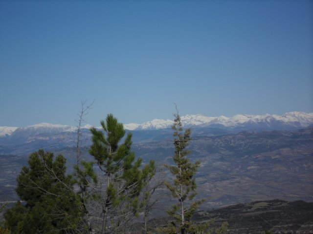 cimg0152.jpg