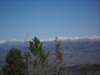 cimg0152_small.jpg