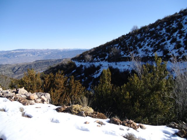 cimg0156.jpg