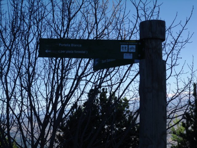 cimg0161.jpg