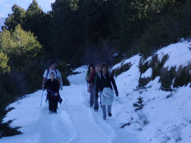 cimg0162.jpg