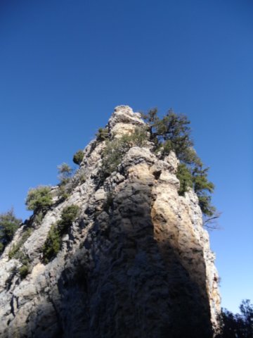 cimg0179.jpg