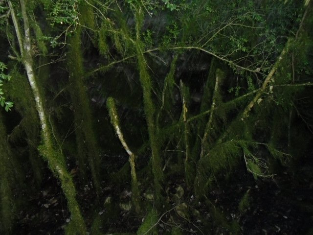 cimg0190.jpg
