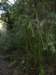 cimg0192_small.jpg