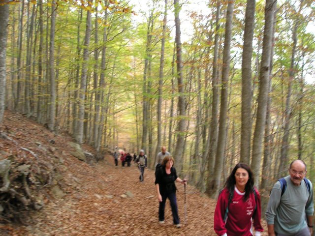 p1010008.jpg
