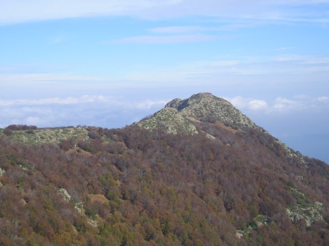 p1010014.jpg