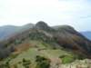 p1010018_small.jpg
