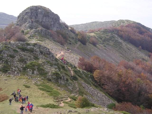 p1010019.jpg