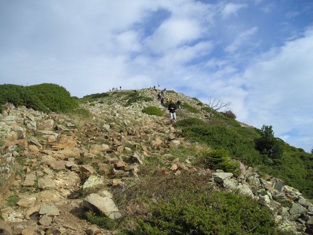 p1010022.jpg