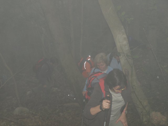 p5092647.jpg