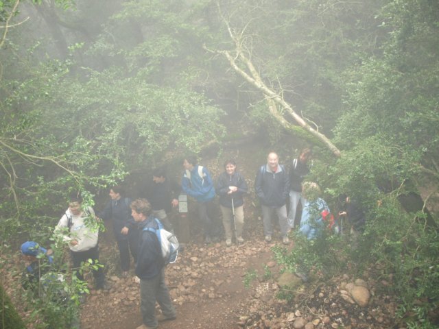 p5092653.jpg