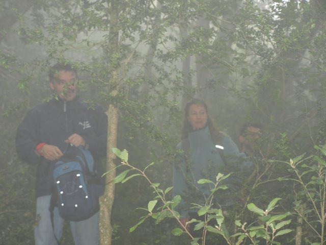 p5092654.jpg