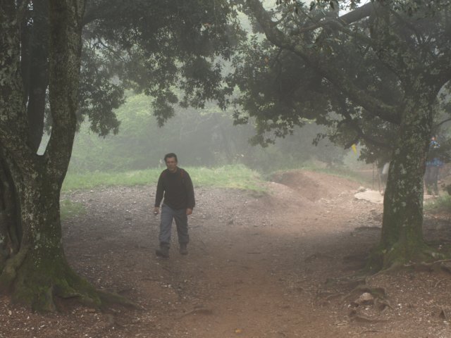 p5092657.jpg