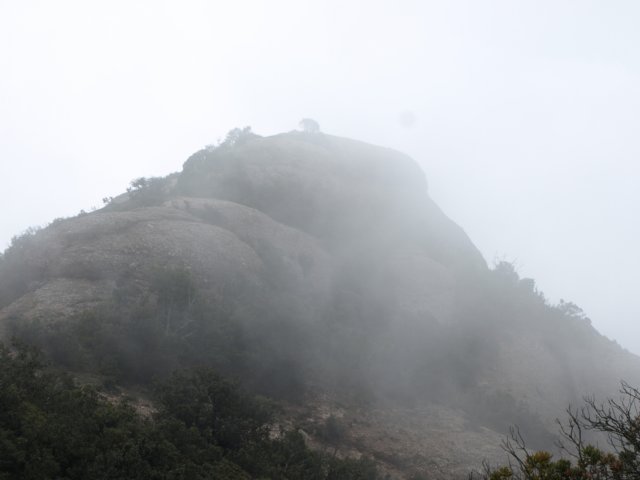 p5092665.jpg