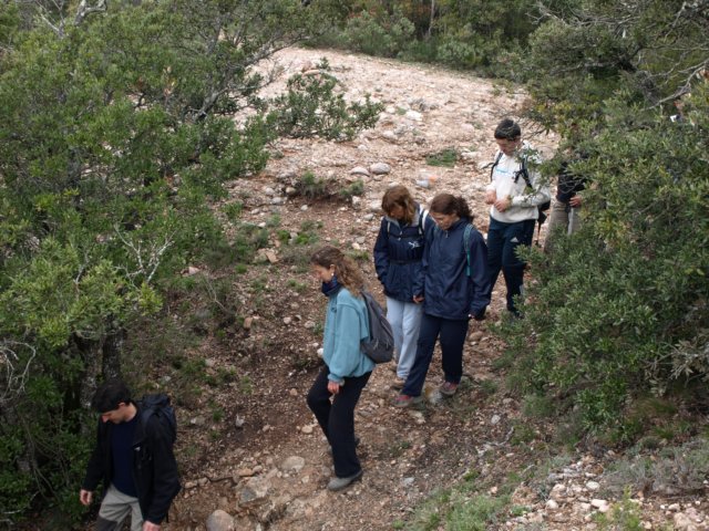 p5092678.jpg