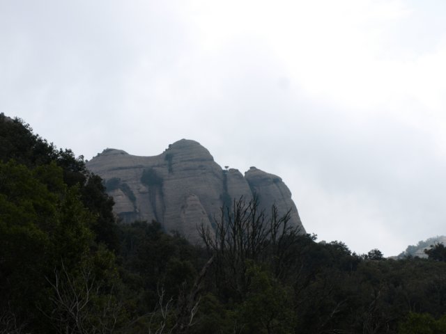 p5092680.jpg