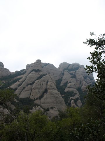 p5092682.jpg