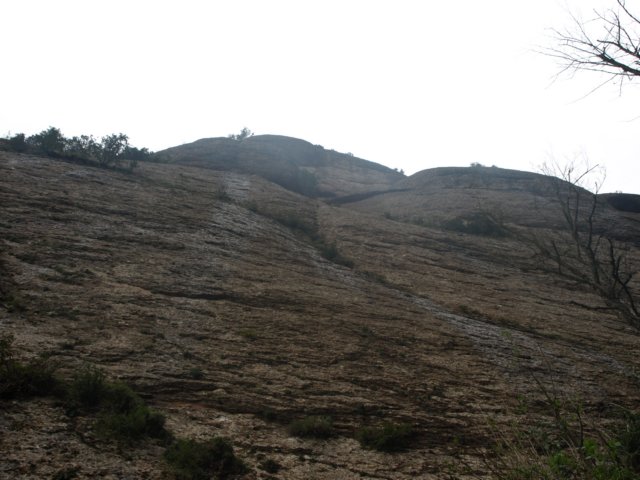 p5092696.jpg