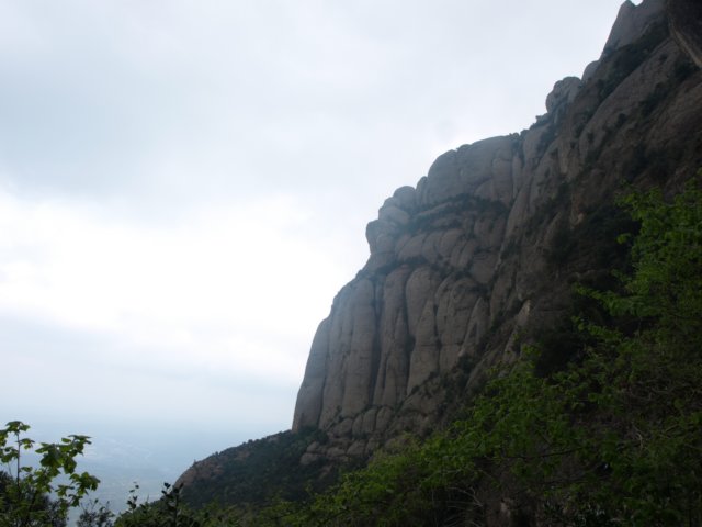 p5092700.jpg