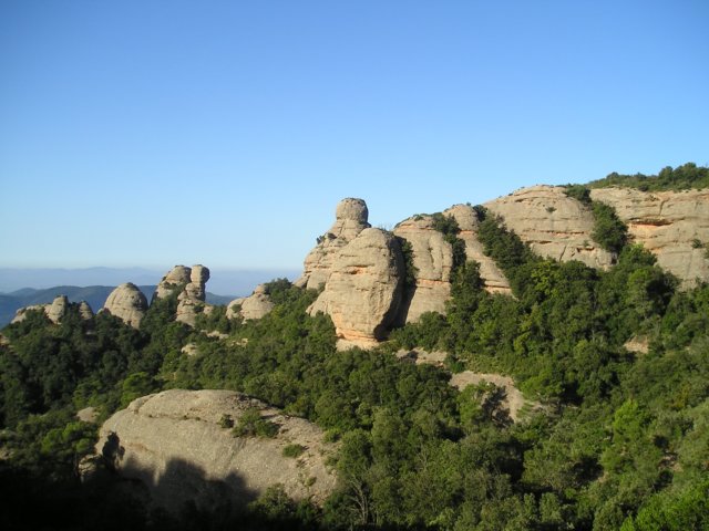 p1010360.jpg