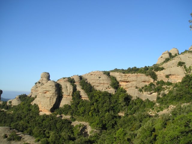 p1010361.jpg
