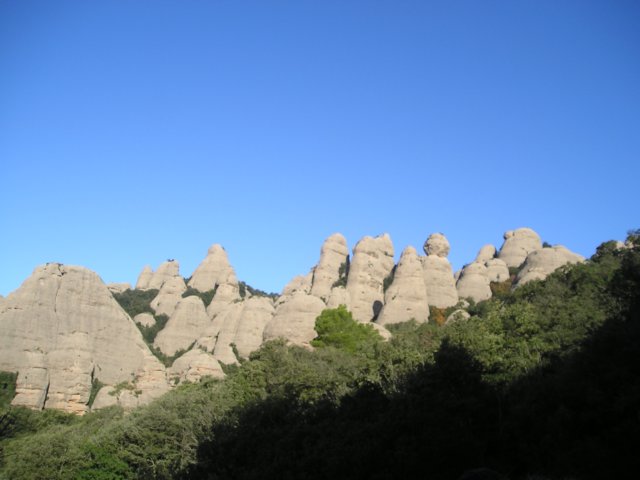 p1010363.jpg