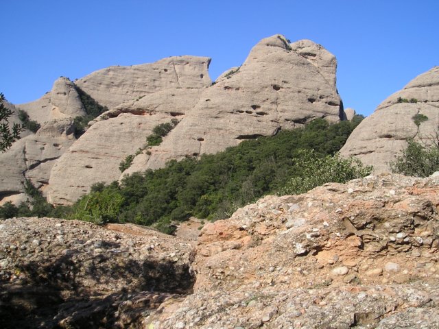 p1010368.jpg
