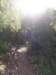 p1010369_small.jpg