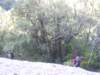 p1010374_small.jpg