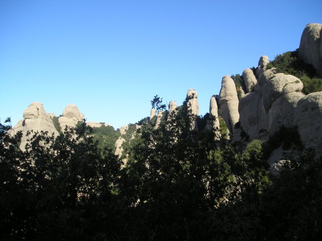 p1010383.jpg