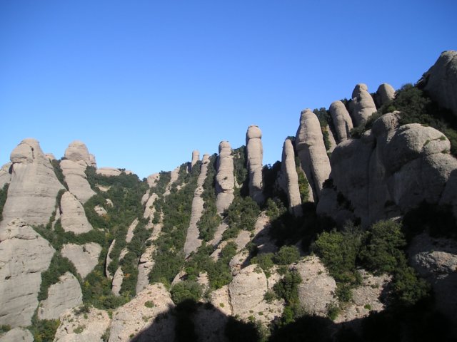 p1010385.jpg