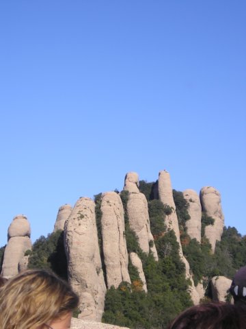 p1010394.jpg