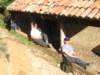 p1010416_small.jpg