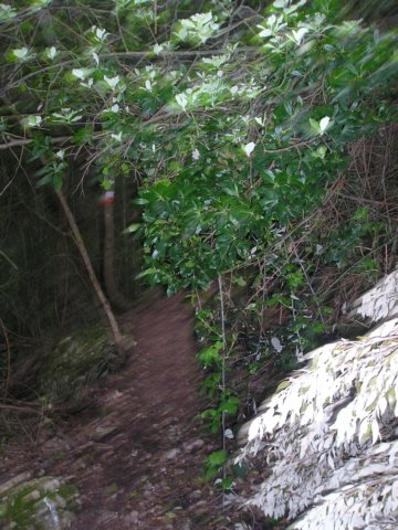p1010001.jpg