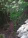 p1010001_small.jpg