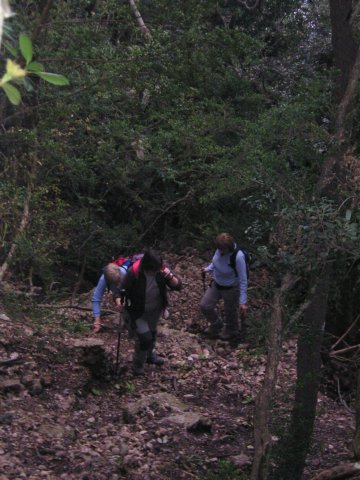 p1010008.jpg