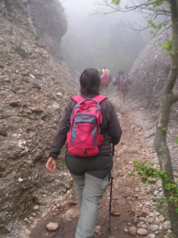 p1010023.jpg