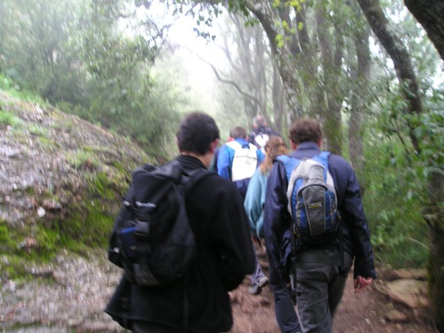 p1010027.jpg